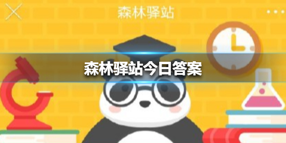 世界地球日是每年的什么日子？森林驿站1月29日
