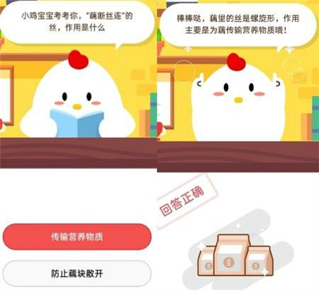 蚂蚁庄园7月17日答案介绍 小鸡宝宝考考你“藕断丝连”的丝作用是什么?