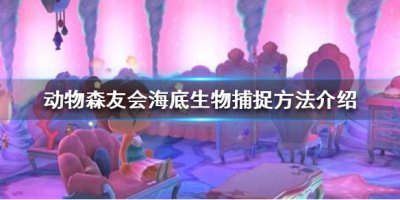 《集合啦动物森友会》海底生物捕捉方法介绍 手