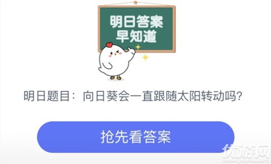 向日葵会一直跟着太阳的方向转来转去吗 蚂蚁庄园8月18日每日一题答案