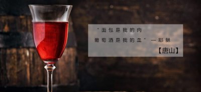 小鸡宝宝考考你通常葡萄酒瓶身上标注的年份指