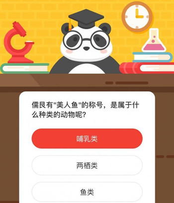 儒艮有美人鱼的称号,是属于什么种类的动物呢 森林驿站9月4日每日一题答案