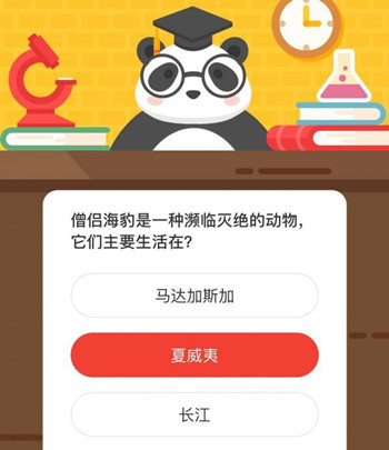 僧侣海豹是一种濒临灭绝的动物,它们主要生活在 森林驿站9月15日每日一题