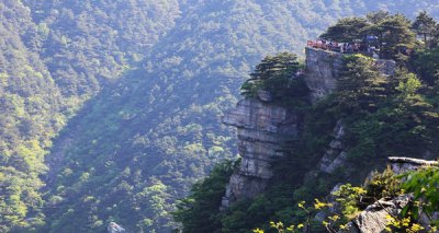 横看成岭侧成峰远近高低各不同写的是庐山 还是