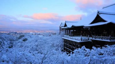 下雪对农事的好处包括 蚂蚁庄园今日答案12月7日