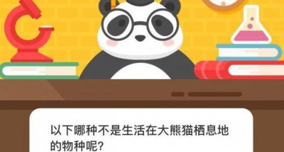 以下哪种不是生活在大熊猫栖息地的物种？微博