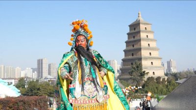 直播短视频构塑新大众文艺形态,快手分享AI时代