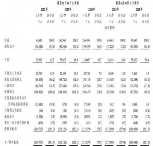 驭势科技更新港股招股书：2025上半年营收9865万元