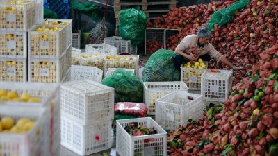 拼多多发布Q3财报,新电商迎创业十周年,加大投