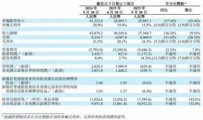 纯电与全球化,理想都要
