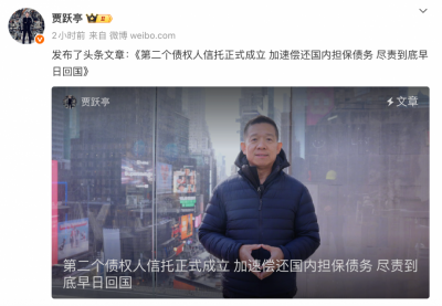 贾跃亭发文:加速偿还国内担保债务 尽早回国