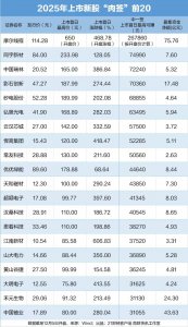 摩尔线程中一签赚近27万，市值超3000亿元，幻方