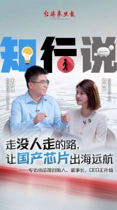 走没人走的路,让国产芯片出海远航——专访纳