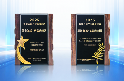 双奖加冕!网宿SASE再摘行业重磅大奖