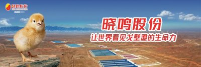 零碳实践再提速!晓鸣股份光伏项目成功并网运