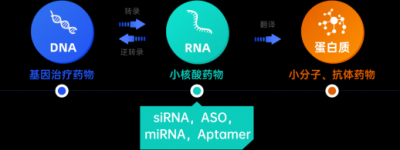 NanoQ系列离子交换介质在ASO、siRNA寡核苷酸纯化中
