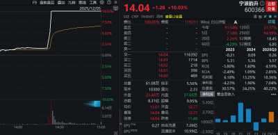 传闻引发直线涨停？！600366回应