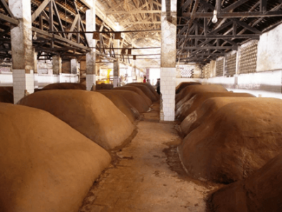 五粮液700余年古窖里藏着的浓香密码