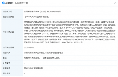 绿地集团大庆置业公司被罚 擅自将运动场改为停