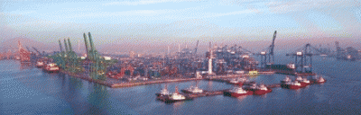 褚斌带队走访上港集团