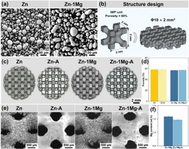 铂力特助力可降解锌基骨植入物研发取得关键进