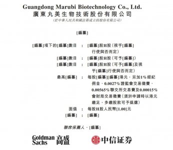 丸美生物递表港交所