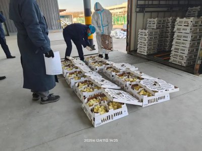 【引种】益生股份年度引种圆满收官，累计引种