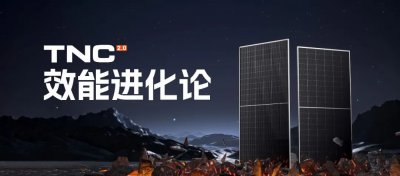 通威受邀参加BackContact Workshop 2025会议