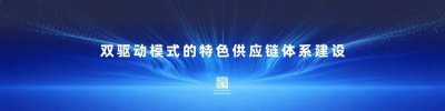 双驱动模式的特色供应链体系建设 | 咸亨国际总