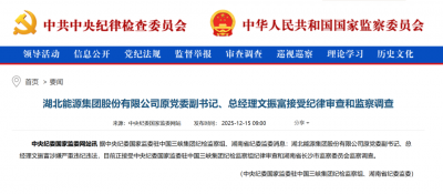 文振富被查,曾任湖北能源总经理