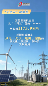 苏能股份新能源装机突破110万千瓦