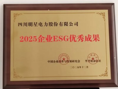 喜讯!明星电力公司案例荣获“2025企业ESG优秀成