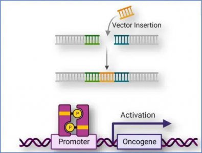益诺思慢病毒整合位点分析赋能in vivo CAR-T产品安