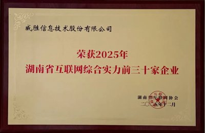 威胜信息获评2025湖南省互联网综合实力TOP30 Wil