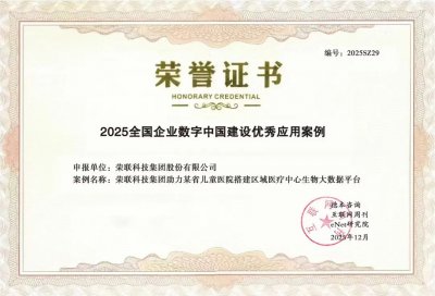 荣联科技集团荣获“2025全国企业数字中国建设优