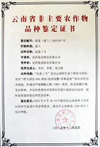 昆药集团喜获嘉兰新品种证书