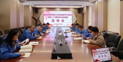 民丰特纸召开学习贯彻党的二十届四中全会精神