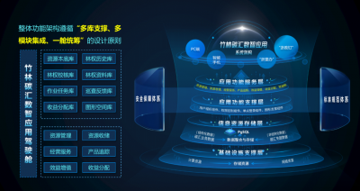 数智驱动碳汇交易，看浙江安吉如何点“竹”成