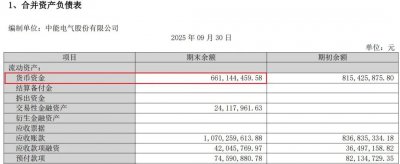刚扭亏就想“蛇吞象”?知名福建电企拟花超8亿