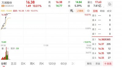 万润股份盘中涨停