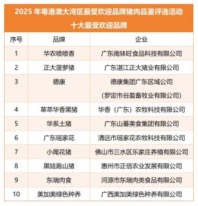 载誉而归!东瑞股份获评“粤港澳大湾区2025年十