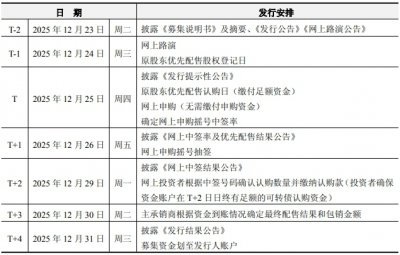 金盘科技可转债发行安排