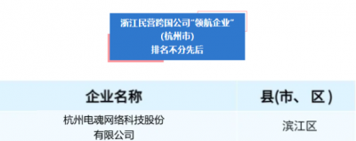 电魂网络入选2025浙江民营跨国公司“领航企业”
