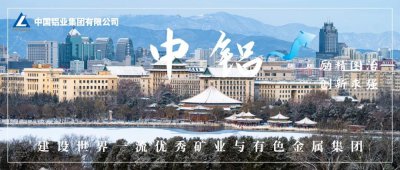 中铝集团与中国一重举行工作会谈