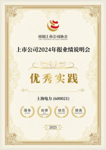 公司荣获中国上市公司协会 “2024年报业绩说明会