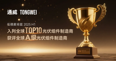 通威连续三年荣膺Wood Mackenzie全球组件制造商TO