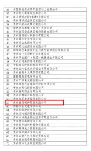 益佰制药实力彰显再度入选贵州企业百强系列榜