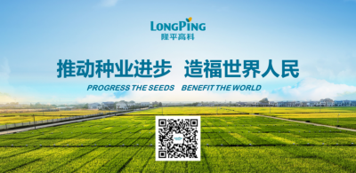 联创种业控股黑龙江乾吉耕耘，南北协同驱动中