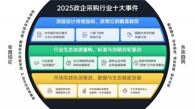 2025政企采购行业十大事件盘点:京东等民营企业