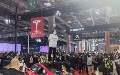 特斯拉申请限消“车顶维权”女车主，17.23万赔偿